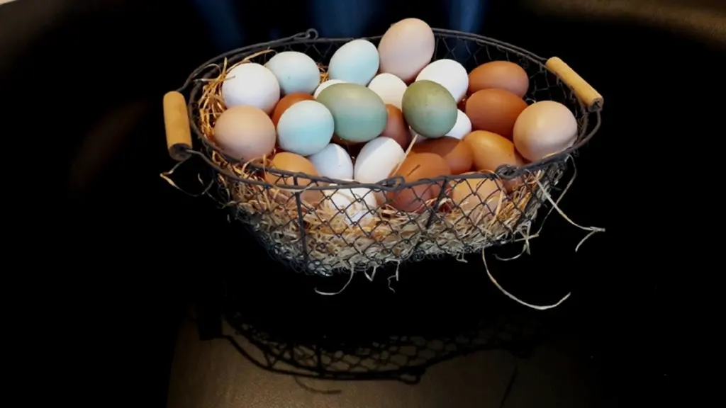 Sachant que les néo éleveurs bio en vente directe aiment différencier leurs produits, LV’ Direct propose quatre souches pour quatre couleurs d’œuf (bl