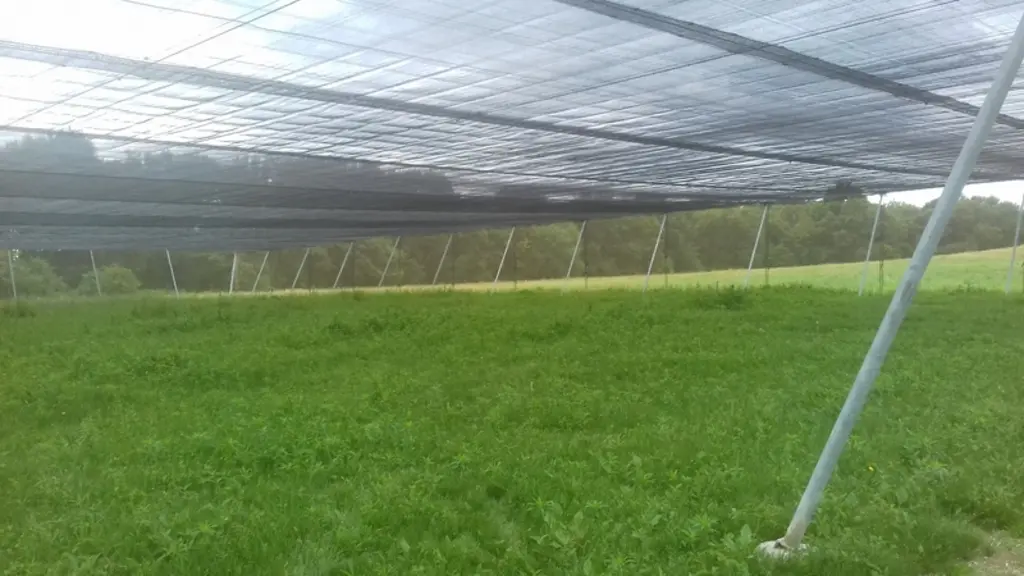 L'intérieur de la volière landaise de 2400 m2 (60 m x 40 m) au printemps 2019 © DR