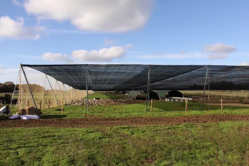 La voile repose sur un réseau de câbles tendus entre des poteaux latéraux à 4 mètres du sol © Deltex