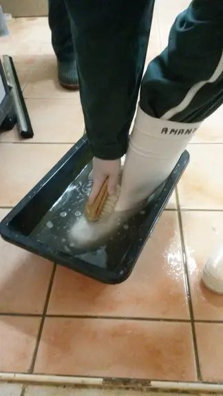 Pour ne pas contaminer d'autres élevages, il est recommandé de nettoyer ses bottes avant de quitter le dernier site. © Claire Jacquinet et Amandine ..