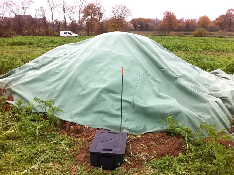 Couverture du tas de fumier par une bâche respirante, testée dans le cadre du projet Fumless. © Itavi