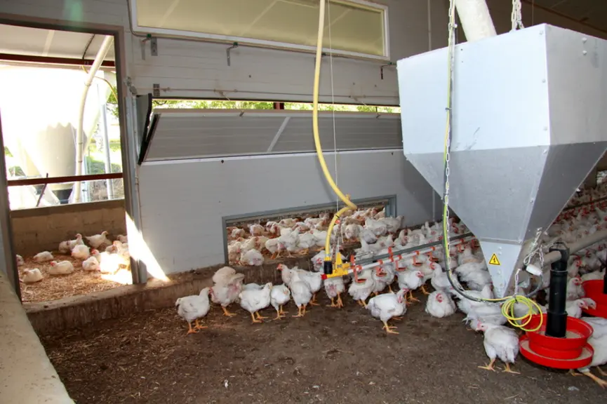 Cet élevage laboratoire est suréquipé en échangeurs (6 dont 4 côté jardin d’hiver) pour le démarrage. Le relais est pris par la ventilation dynamique