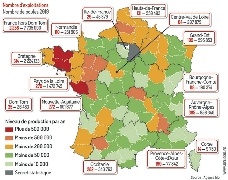 En oeuf Bio, la Bretagne,et particulièrement les Côtes d'Armor, a pris une position de leader difficilement détrônable © Réussir
