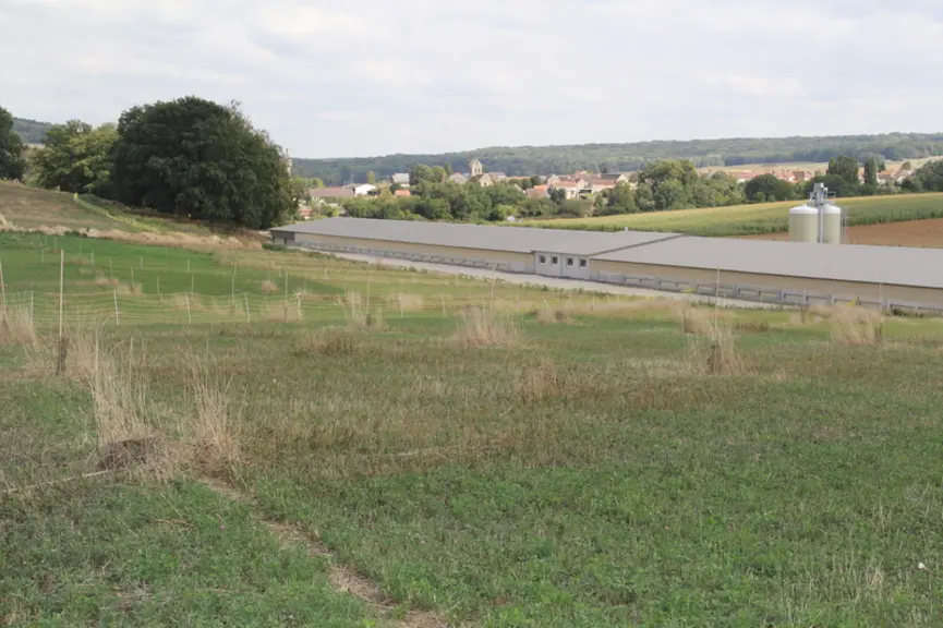 Le parcours a été semé de trois zones d'herbes distinctes. Début septembre, il ne restait plus qu'à installer les grillages de séparation des parcours