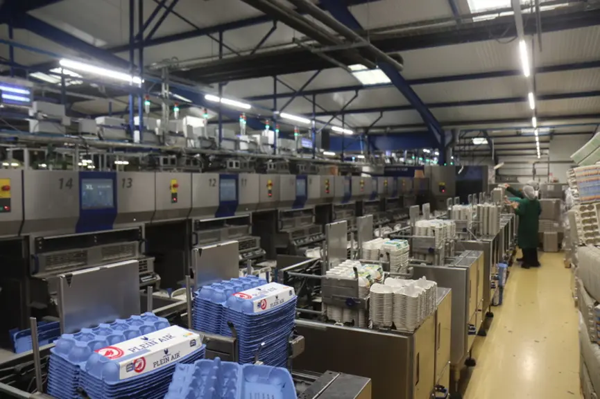 Le poste alimentation en boites sur la calibreuse de 190 000 œufs/heure (20 lignes) de CDPO a Esternay © P. Le Douarin