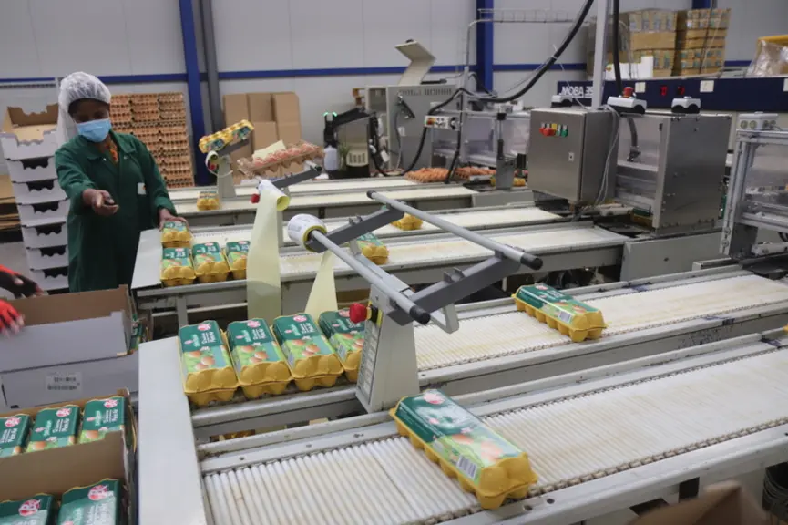 A Esternay, les oeufs label rouge sont emballés à part sur une machine dédiée (une Moba 3500 de 30 ans) en attendant d'éventuelles évolutions de la ré