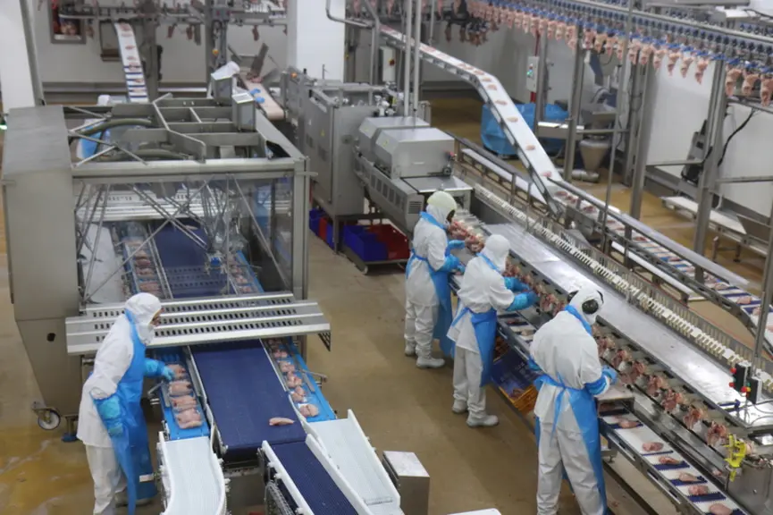 Atelier de découpe chez Les éleveurs de la Champagne. Un nouveau robot à deux bras préhenseur a démarré en septembre pour la mise en barquette à poids