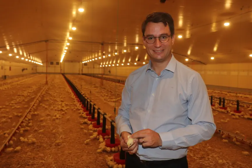 En choisissant le poulet conventionnel avec Nealia, Julien Valentin revient à l'élevage et joue la carte du poulet 100% local (sauf le poussin). © P.