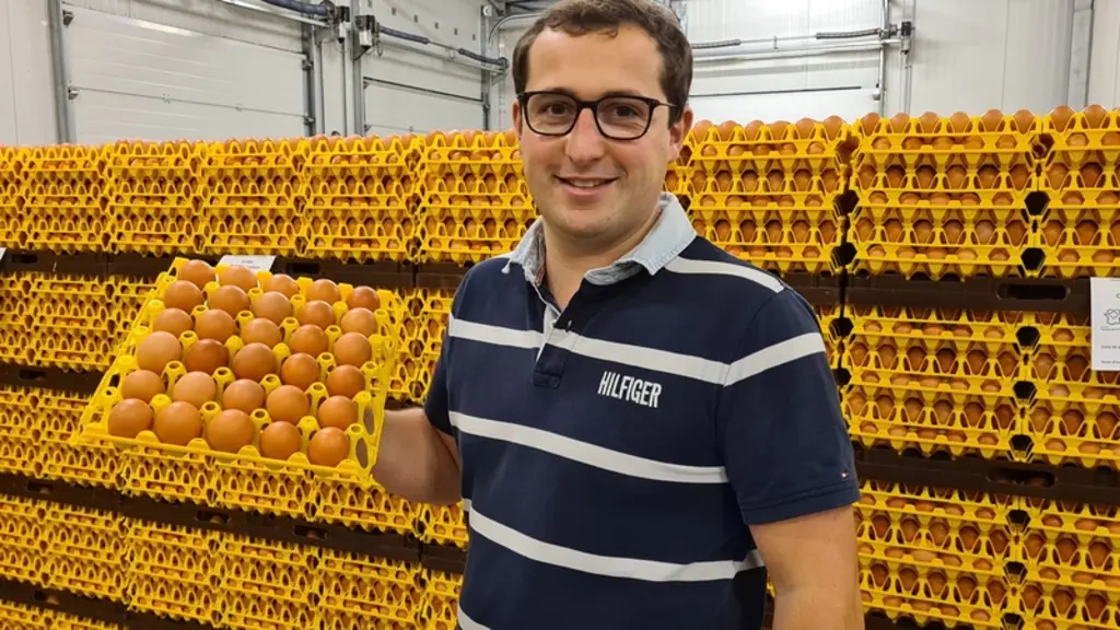 Victor Carton. " Les œufs issus du lot avec alimentation séquentielle avaient une très bonne qualité de coquille avec très peu de déclassés." © Flandr