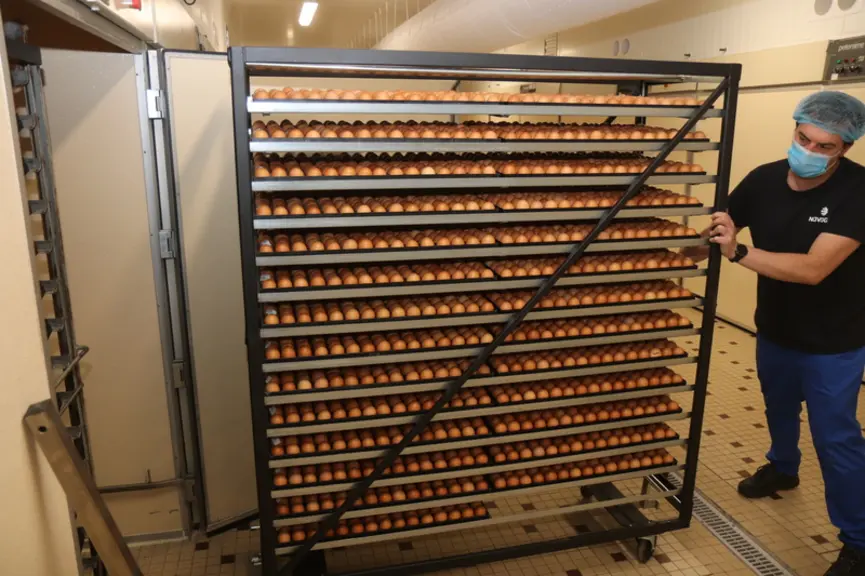 La salle d’incubation (jusqu’à 19 jours) comprend des machines Petersime reconditionnées pouvant chacune recevoir 33 600 œufs en chargement unique. ©