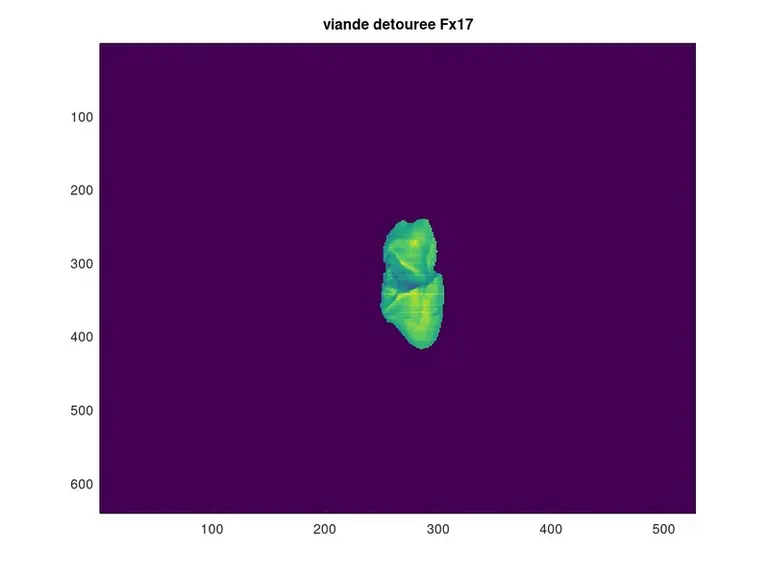L'image une fois détourée automatiquement