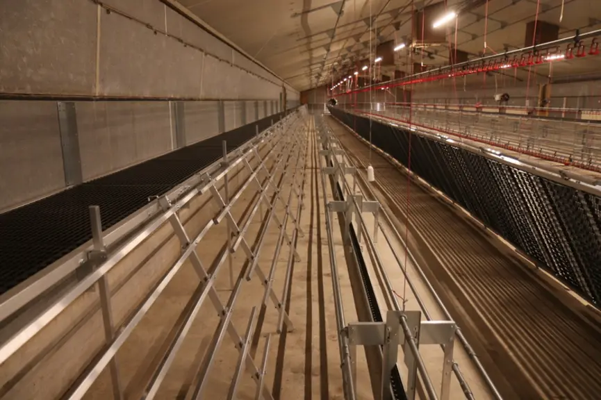 De gauche à droite : une plateforme, un perchoir-échelle et des perches autour de la chaîne d’alimentation. © P. Le Douarin