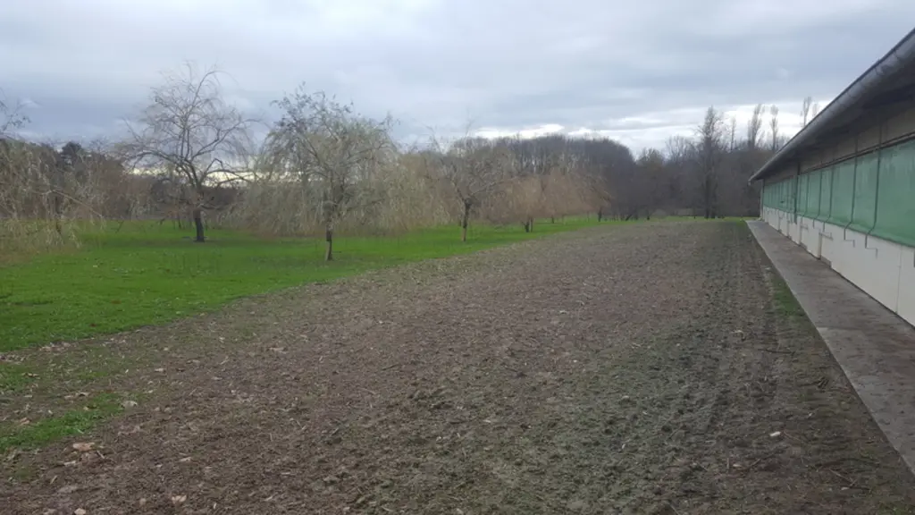 Une partie de parcours dénudée par la surfréquentation devant les trappes de sortie. © Itavi