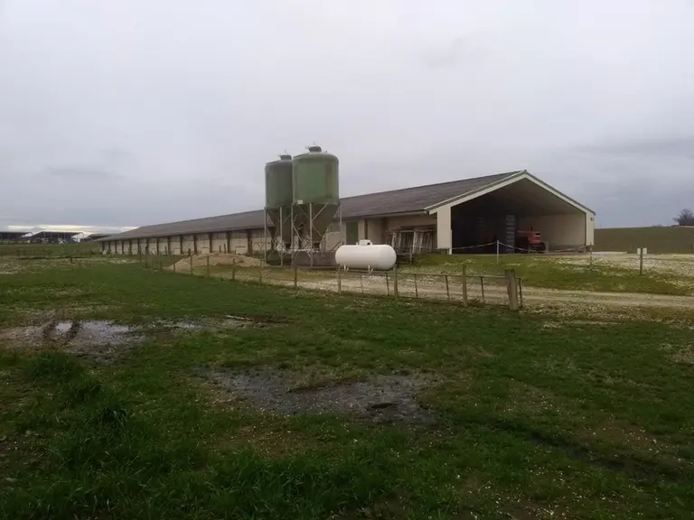 Les deux bâtiments ont été construits après la tempête Klaus de 2009 et abritaient 6000 canards. © Gaec de Guirouze