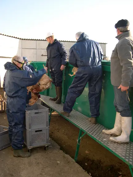 Les moyens logistiques mis en place par l'État n'ont pas été assez importants et prompts à réagir face à un virus très contagieux (archive). © DR
