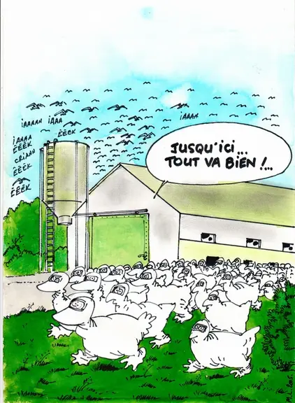En matière de biosécurité, il faut rester les pieds sur terre ... © Malo