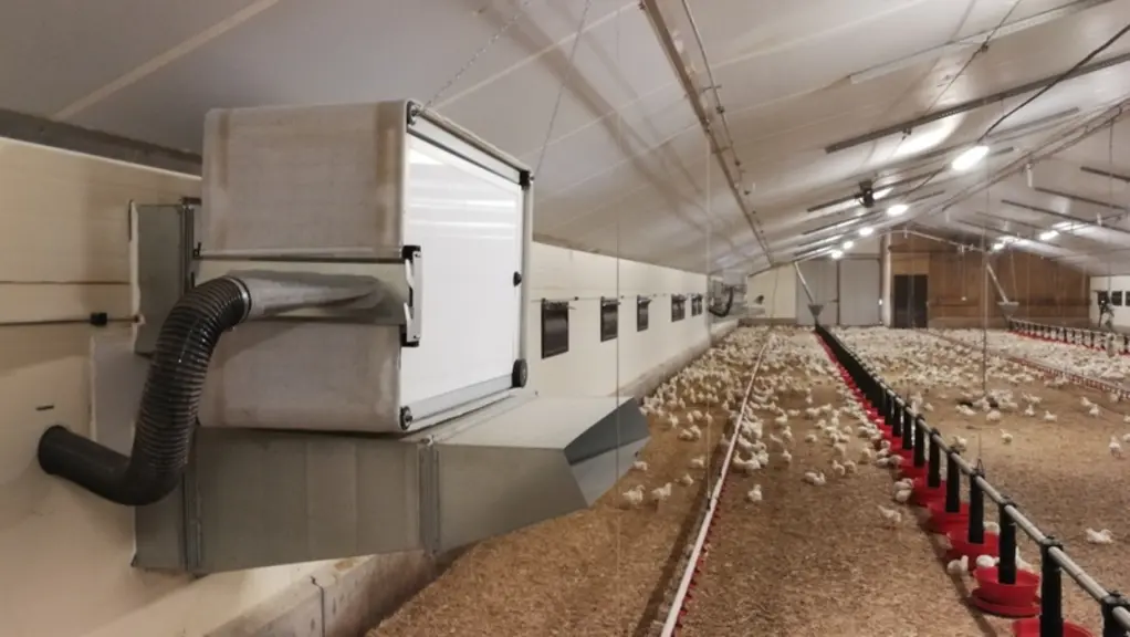 En poulet du quotidien, le système Lead Exp'air simplifie le travail durant la première quinzaine d'élevage en gérant simultanément le chauffage et la ventilation, tout en permettant de mieux évacuer l'humidité.  © Le Roy