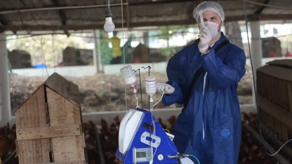 L'Imvac équipée pour réaliser deux injections en poulette. © Desvac