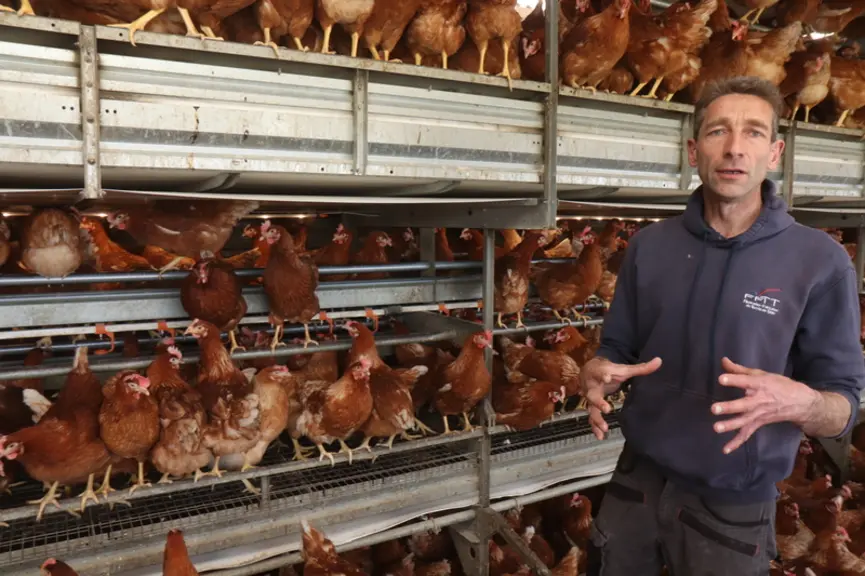 « Sur les quatre lots en volière, pas un n’a eu les mêmes comportements. C’est à moi de réagir et de m’adapter aux poules comme elles s’adaptent aussi