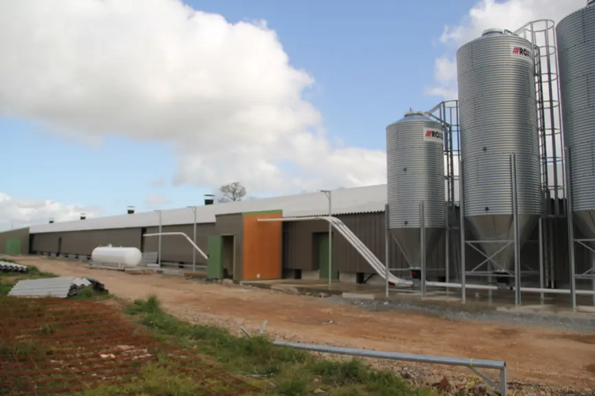 L'aliment des poulettes provenant des deux grands silos transite par la trémie peseuse Skov puis est envoyée vers l'une des six réserves individuelles, situées dans un local (sur la photo à gauche). © A. Puybasset