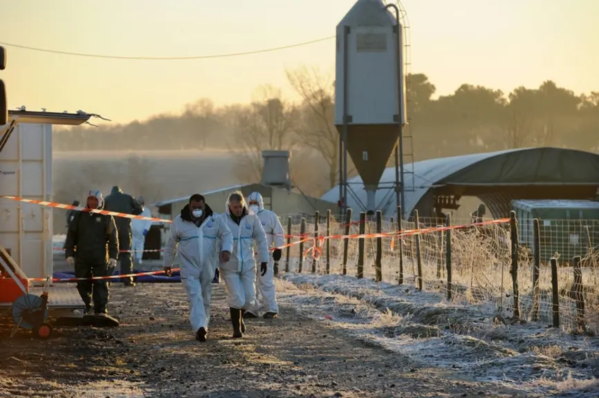 Chantier d'euthanasie en 2017 dans les Landes. Confidentialité et discrétion oblige, le GIGT prend rarement la parole.