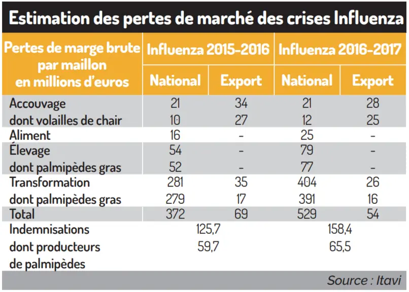 L’Influenza coûte 500 millions aux filières