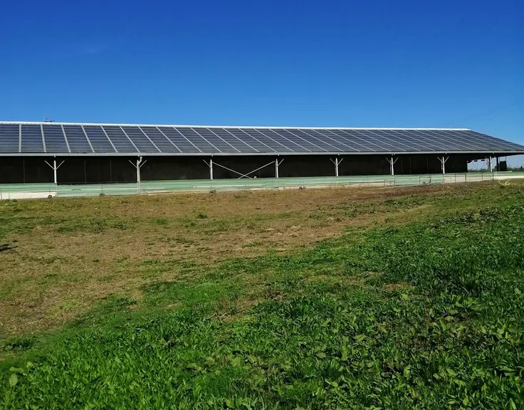 Pour mettre ses canards à l'abri, l'éleveur a opté pour deux poussinières et deux hangars photovoltaïques aménagés.