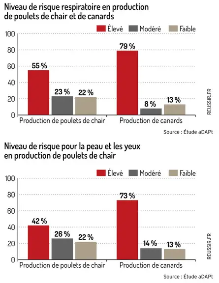 Santé des éleveurs de volailles : Protégez-vous lors de l'utilisation de produits désinfectants