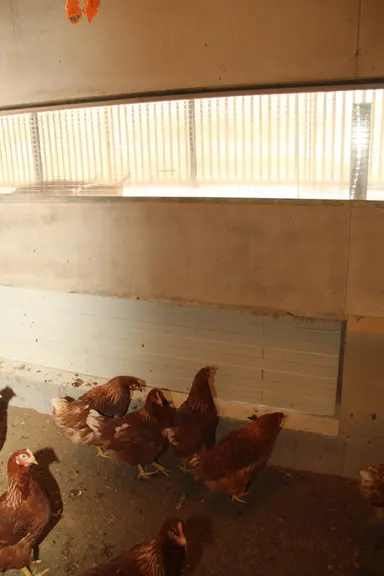 La lumière naturelle rentre par une baie en polycarbonate de 42 cm de haut sur 80 mètres de long, installée sur un côté à la place d’une trappe longue de sécurité inutilisée.