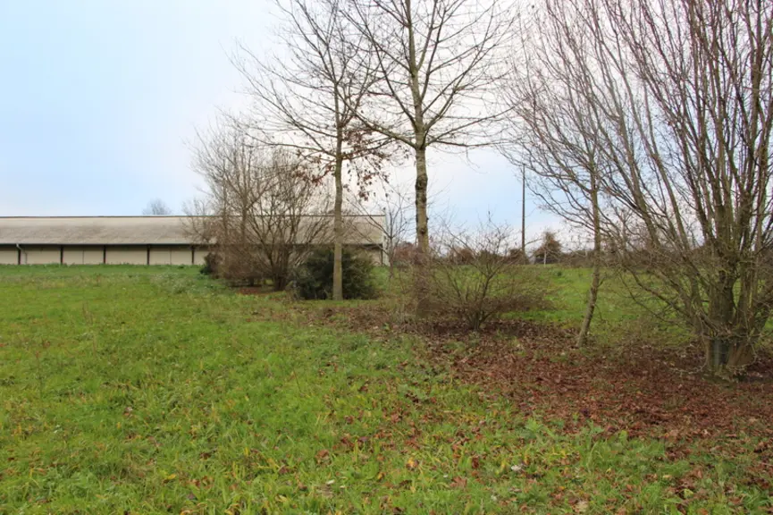 Les parcours actuels étant en cultures quand Stéphane Lavigne a planté les arbres, il n’a pas installé de haies en « peignes » près des bâtiments.