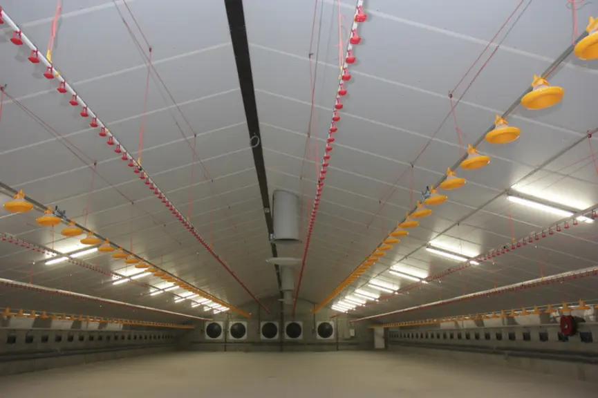 Matthieu Galland a adopté le modèle de production belge hyper efficient en y ajoutant une touche de durabilité avec le chauffage au bois et les pannea