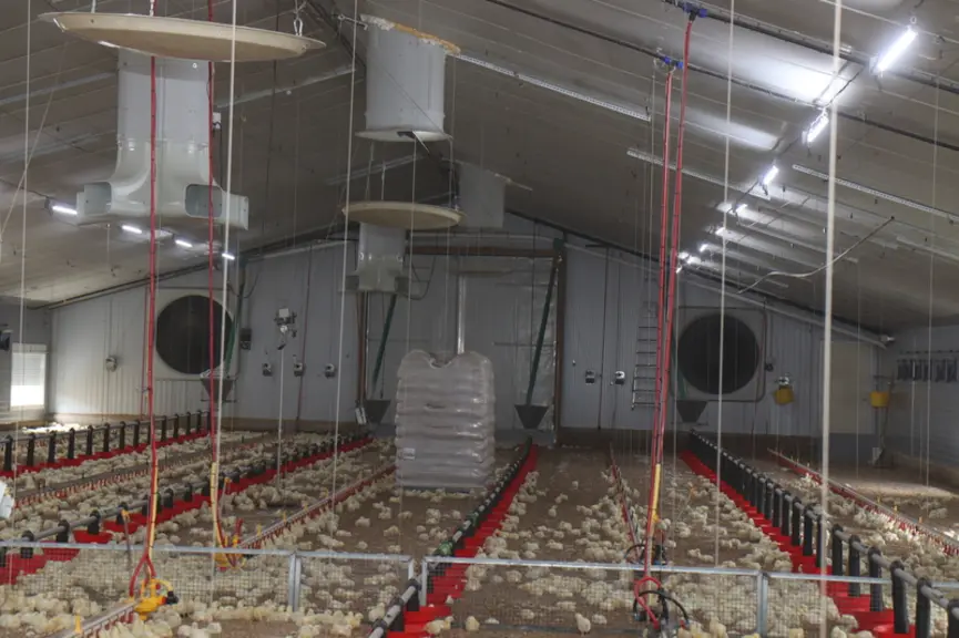 Les cinq cheminées d'extraction Skov sont complétées par deux turbines au pignon. Les brasseurs déstratifient l'air chaud ou créent de la vitesse d'air.