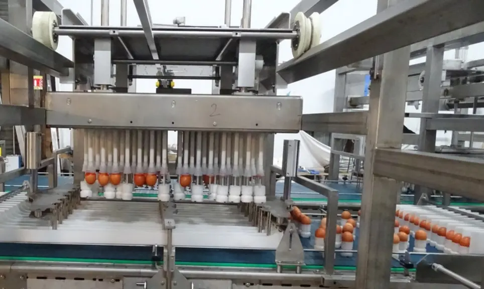 Limiter les chocs et les contaminations des œufs en incubation tout en économisant de la main-d’œuvre.