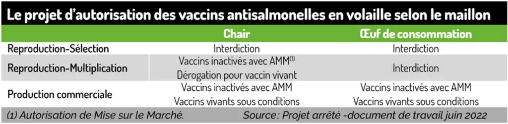 Le projet d’autorisation des vaccins anti-salmonelles en volaille selon le maillon