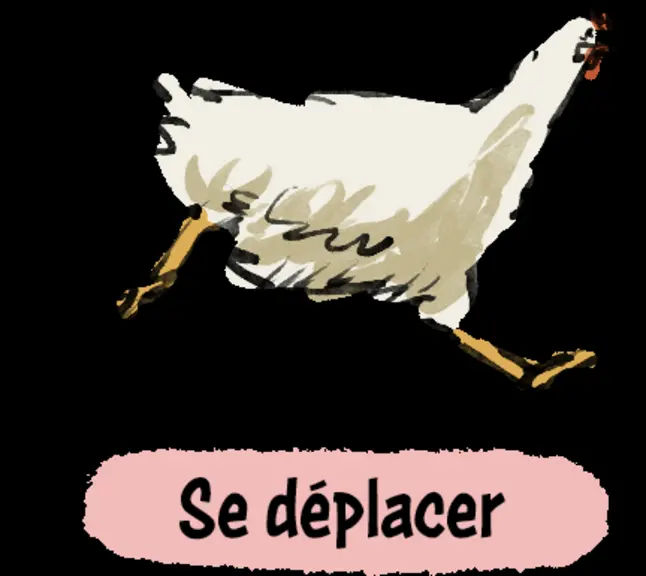 Bien-être animal : reconnaître les comportements des poulets