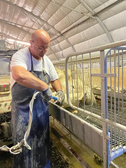 Cette année, la pénurie aura fait « non-produire » au moins autant de canards que l’épizootie H5N1 en a tués ou conduits à euthanasier.