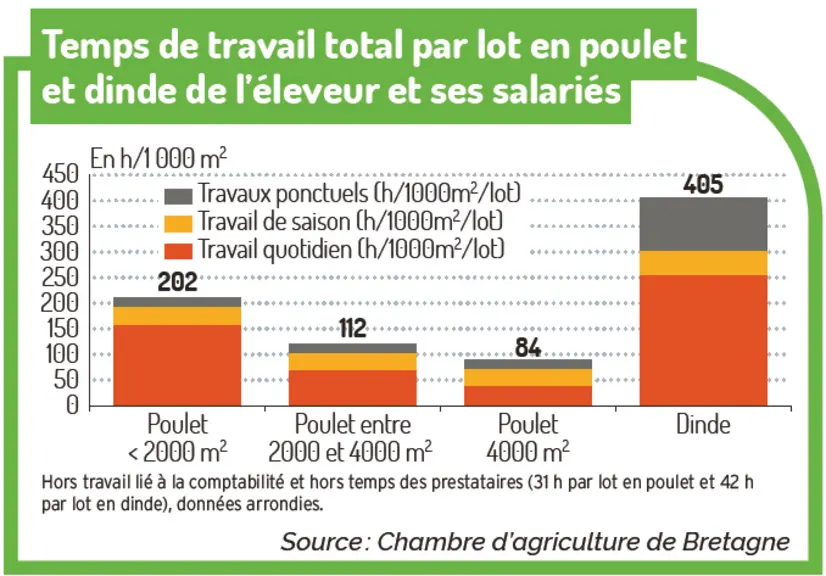 Combien d’heures travaillent les éleveurs en dinde et poulet