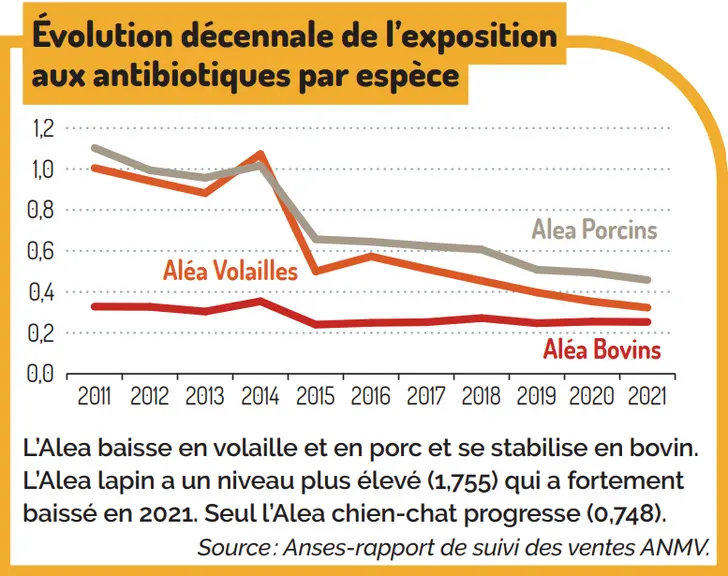 Baisse de 8,5 % de l'exposition des volailles aux antibiotiques en 2021