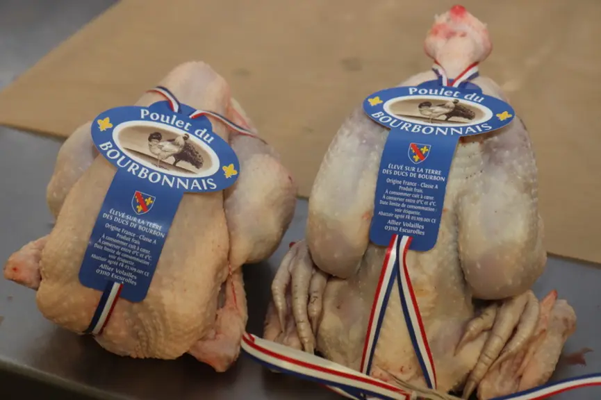 À plus de 100 jours, des poules de 1,4 kg en AC et des coqs de 2 kg en moyenne.