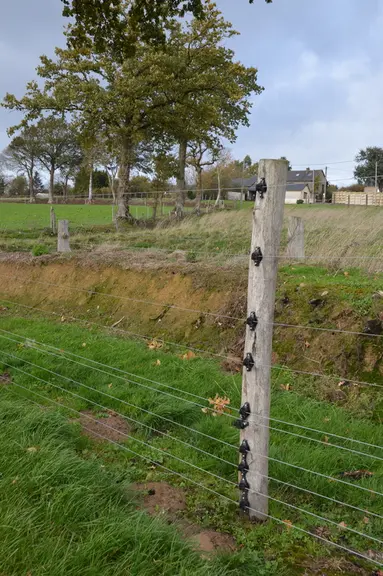 Les six premiers fils sont rapprochés de 10 centimètres pour éviter toute intrusion de faune sauvage.
