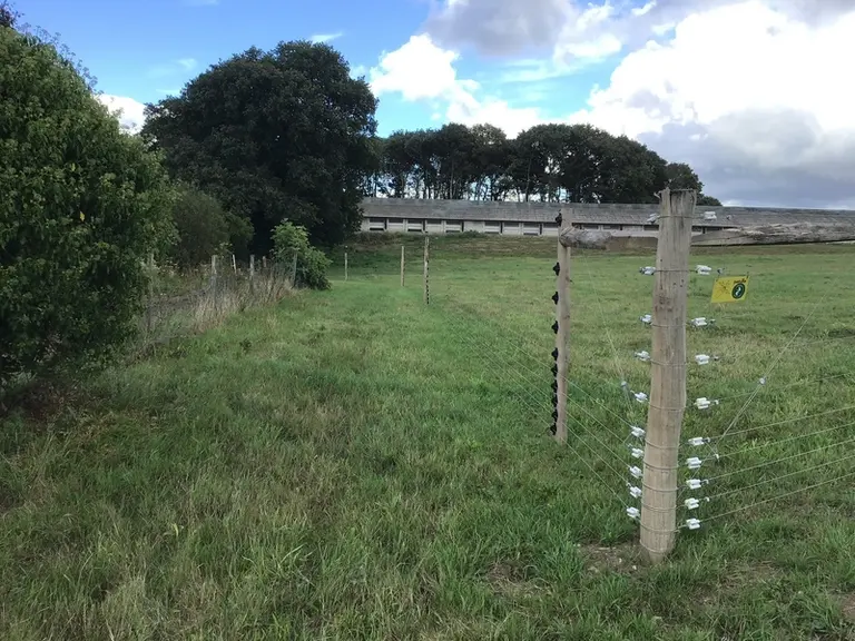 À l’Earl des Fougères, chez Marie Laure Conan, un espace libre d’au moins 1,5 mètre le long de la clôture facilite l’entretien.