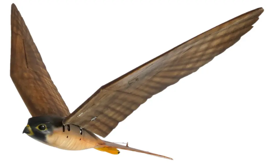 Grippe aviaire : Éloigner les oiseaux indésirables avec un laser
