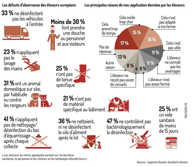 Biosécurité des élevages avicoles : quelles sont les failles cernées dans sept pays d’Europe ?