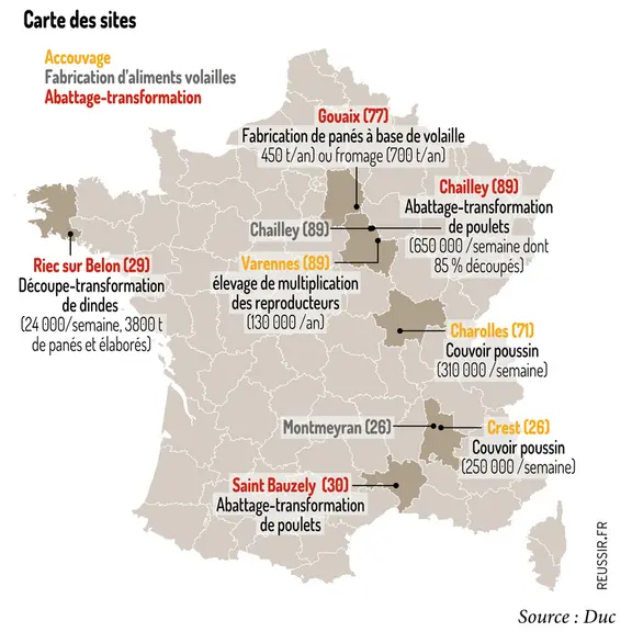 Poulet de chair : Duc-Plukon investit dans le Sud-Est pour conquérir des parts de marché