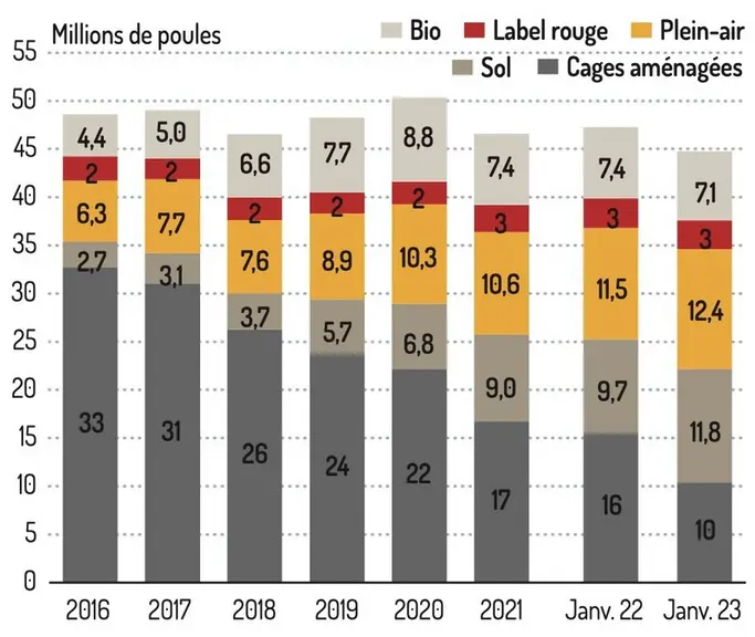Évolution des effectifsTrois quarts de la production hors cageLe cheptel moyen de pondeuses en production a connu une baisse de 5 % entre janvier et décembre 2022 et la part des modes d’élevage hors cage évolue de 67 % à 77 %.Le cheptel en cage aménagée est passé de 15,5 millions de poules à 10,3 millions, le sol et plein air progressent respectivement de 2 et 1 millions de poules. Durement touché par l’inflation et la baisse de la demande, le bio a perdu ...