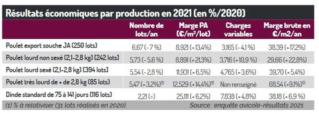 Enquête avicole : Les marges brutes se sont redressées en 2021
