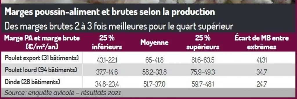 Enquête avicole : Les marges brutes se sont redressées en 2021