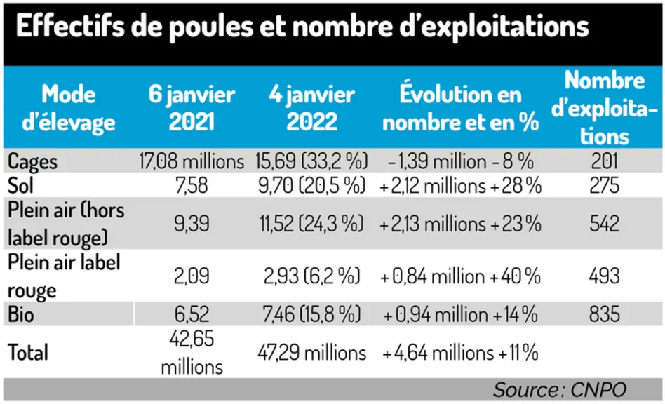 La filière œuf écartelée entre prix et attentes sociétales