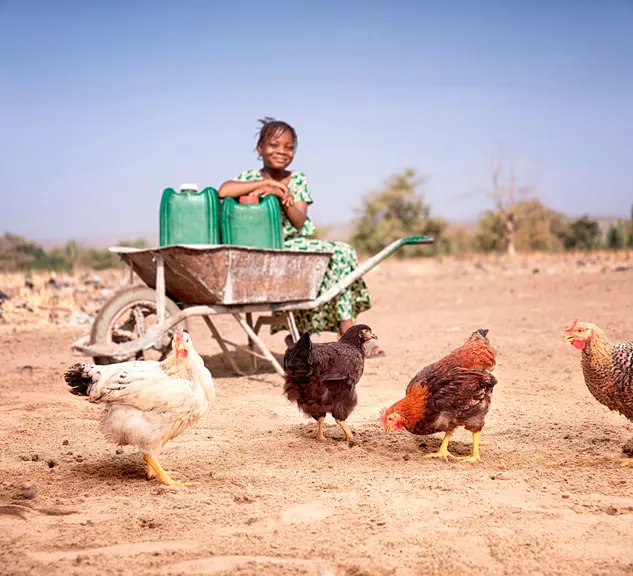 Là où les conditions d'élevage sont difficiles, les poulets colorés tout terrain s'en sortent mieux que des poulets Formule 1. © Hendrix Genetics