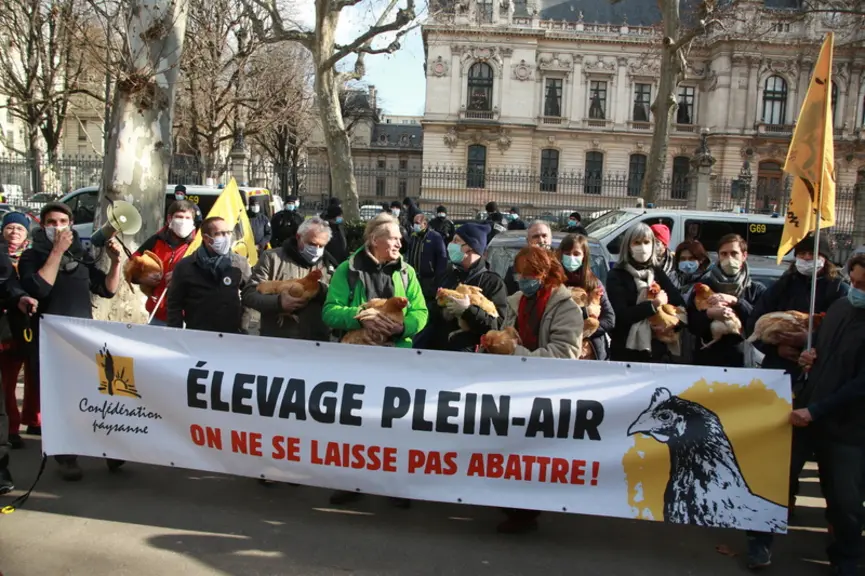 Les éleveurs de la confédération paysanne dénoncent un excès de zèle sanitaire envers les éleveurs élevant leurs poules hors cage et en plein air. © A